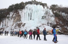 철원 한탄강 얼음트레킹, 2026·2027 문화관광축제 재선정