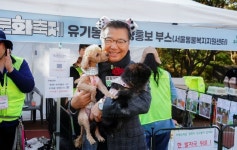 중랑구 설 연휴 반려견·반려묘 안심하고 맡기세요