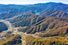 춘천시, 사북 선도산림경영단지 산림청 평가 매우우수