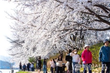 춘천시, 공지천 산책로 야간경관 강화사업 추진