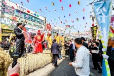함안군, 전통문화 행사 칠원고을줄다리기 성황