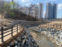 [전매포토] 과천시, 제비울천 산책로 조기개방