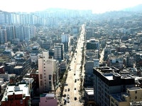 중구, 다산로 2.54km 생활녹지축 조성…걷고 쉬기 좋은 거리로 탈바꿈