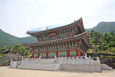 산청군, 여행사 연계로 동의전 웰니스 체험객 확대