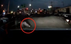 주행 차량 앞으로 쓱 내민 다리…다분히 고의적인데 왜 처벌 어려울까