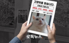 잃어버린 줄 알았던 나의 반려동물, 이웃집에서 키우고 있었다면? 민·형사상 대응법
