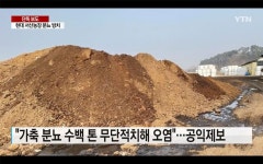 산 처럼 쌓아둔 분뇨…故정주영 소 키운 현대서산농장이 지게 될 책임