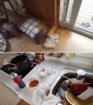 바닥에 토사물, 이불엔 오물…펜션 고객에게 법적 책임 물을 수 있을까?