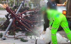 태풍 속 지시받은 업무 하다 사망한 환경미화원…변호사들 