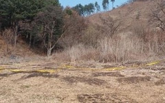 10년 일한 태국인 노동자 숨지자 야산에 시신 유기…농장주 구속