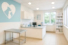 [단독] 동물병원 수술대 오른 반려견 죽자…수의사 걷어차고 장비 부순 보호자