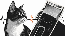 고양이 미용 후 하반신 마비...주인이 미용 스트레스 때문이라고 주장하면, 책임은?