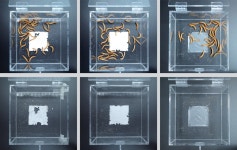 애벌레와 건축이 만나면: 분해농장_계단