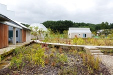 도면 속 식물을 꺼내어 심는: 안마당더랩