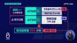 새만금 태양광...특혜 의혹에 환경오염 우려