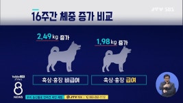 우리 농산물로 반려견 비만 예방