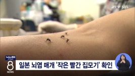 일본 뇌염 매개 '작은 빨간 집모기' 확인