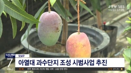 임실군, 아열대 과수 단지 조성 박차(시군)