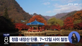 정읍 내장산 단풍, 7-12일 사이 절정