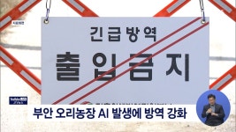 부안 오리농장 AI 발생에 방역 강화