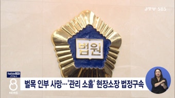 벌목 인부 사망...'관리 소홀' 현장소장 법정구속