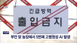 부안 종계농장, 5번째 고병원성 AI 의심사례 발생