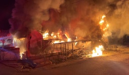 정읍 돼지농장에 불...480여 마리 폐사(화면)