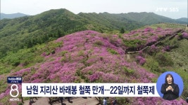 남원 지리산 바래봉 철쭉 만개...22일까지 철쭉제