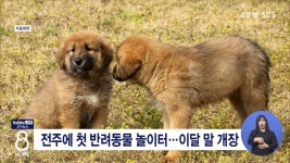 전주에 첫 반려동물 놀이터...이달 말 개장