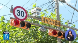 최근 5년 어린이보호구역에서 어린이 73명 다쳐