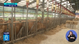 고창 한우농가, 도내 첫 저탄소 축산물  (대체)