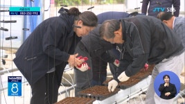 가족실습농장, 귀농귀촌 정착 도움(시군-대체)