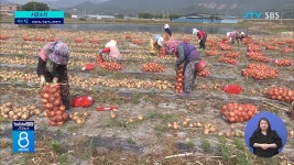 농촌 인력 지원사업 확대(시군)_최종