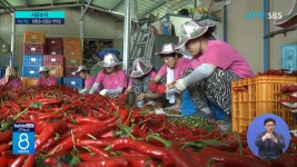 임실 활력네트워크 설립 추진 (시군)