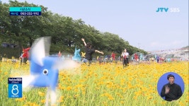 남원 요천변 금계국 만발