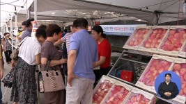 복숭아 직거래 행사 24일 풍남문 광장에서