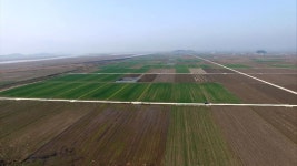 삼성SDS, AI컴퓨팅 센터 공모 새만금 방문