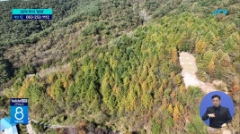 전주시 6억 원 손해 보고 땅 파는 사연