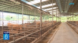 전북도, 19일까지 축사 현대화 농가 모집