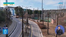 또 잘라내... 이번에는 가로수 잔혹사