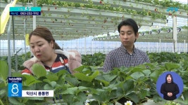 서울 토박이, 익산의 정 반장 되다