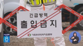 김제 육용종계 농장서 고병원성 확인