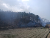 남원 덕과면 야산서 불...30여 분만에 진화(화면)