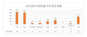 도심에서 다친 야생동물을 발견하면?