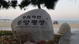 [생태여행] 7월, 강릉 가시연습지·경포호로 생태관광