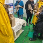 간신히 붙잡고 있다 폭우로 침수된 야생동물구조센터 상황