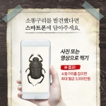 [우리 고장 멸종위기종③] 멸종한 소똥구리, 3년 뒤 한국 돌아온다