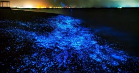 지구의 밤을 밝히는 반짝이들