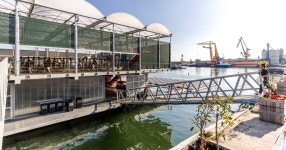 기후위기 대응 고심 끝에… 물 위에 지어진 젖소 목장