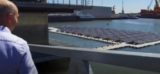 기후위기 대응 고심 끝에… 물 위에 지어진 젖소 목장